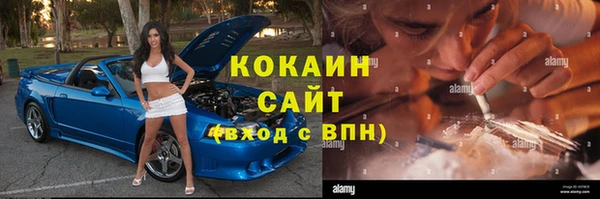 гидра Аркадак
