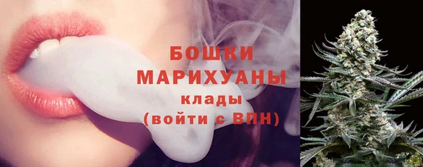 ГАЛЛЮЦИНОГЕННЫЕ ГРИБЫ Арсеньев