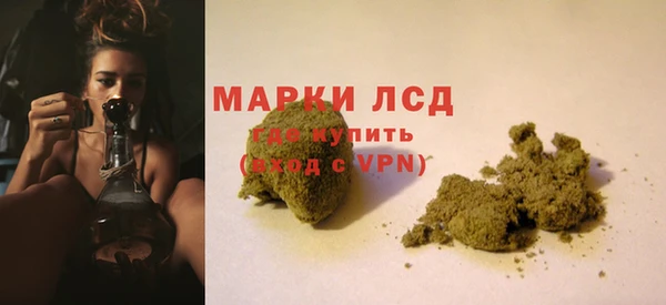 ПСИЛОЦИБИНОВЫЕ ГРИБЫ Армянск
