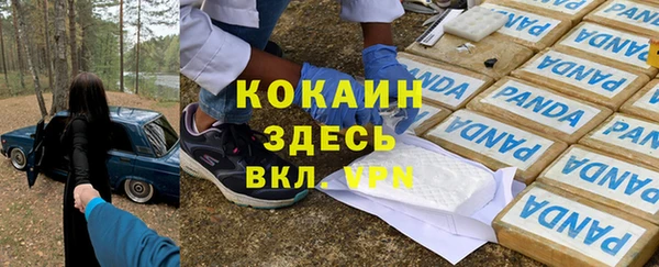 ГАЛЛЮЦИНОГЕННЫЕ ГРИБЫ Арсеньев