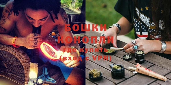 гидра Аркадак