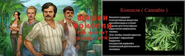 ПСИЛОЦИБИНОВЫЕ ГРИБЫ Армянск