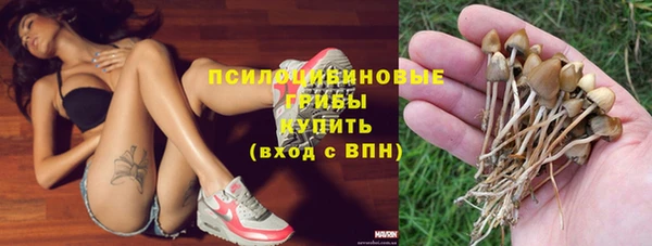 ГАЛЛЮЦИНОГЕННЫЕ ГРИБЫ Арсеньев